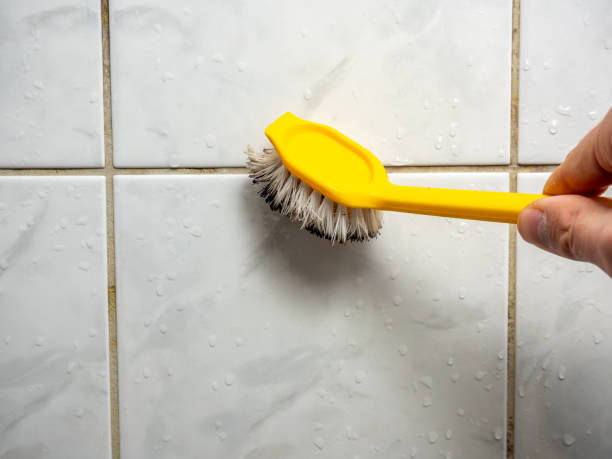 Best Certified Mold Removal  in Wrightsville, GA