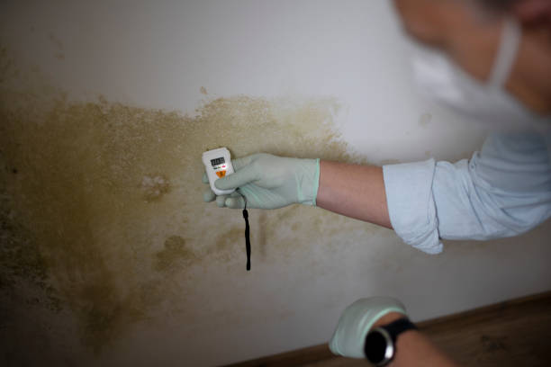 Best Water Damage Restoration  in Wrightsville, GA
